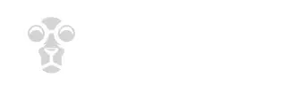 Pay N Play Kasinot 2026 – Parhaat Paynplay Nettikasinot Suomalaisille